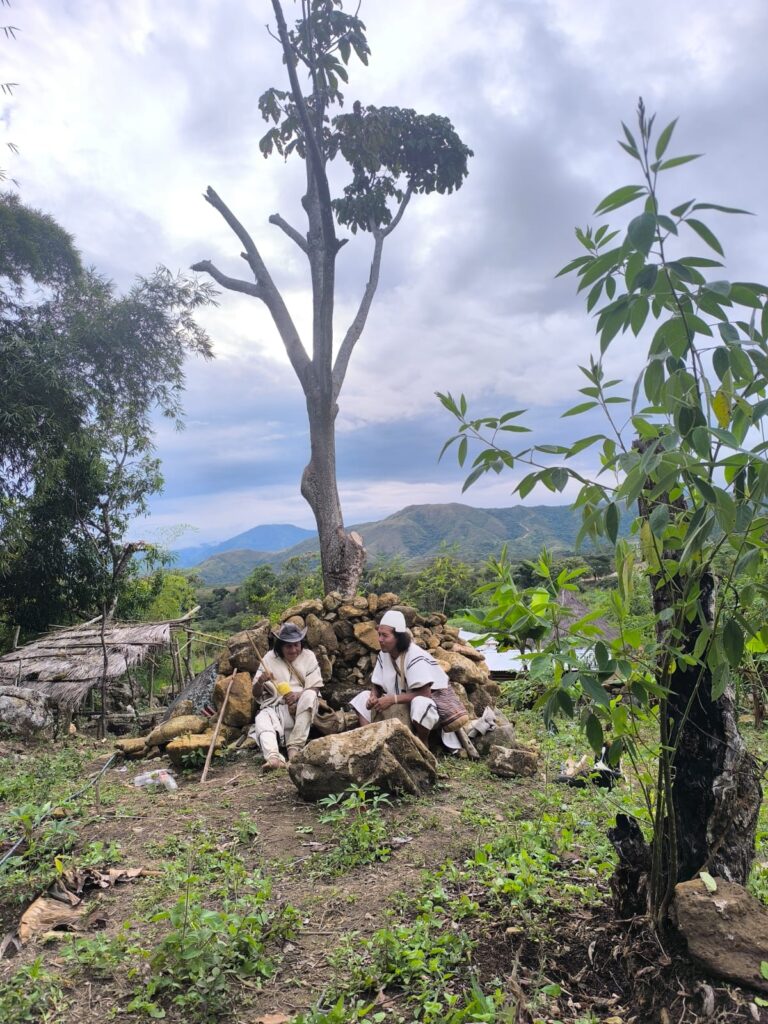 Todo se teje: mujeres arhuacas, cuidado y trabajo en la Sierra Nevada 10 WhatsApp Image 2026 07 09 at 3.42.51 PM